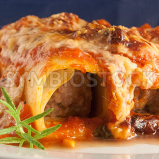 Cannelloni Frontal - Fotos-Schmiede