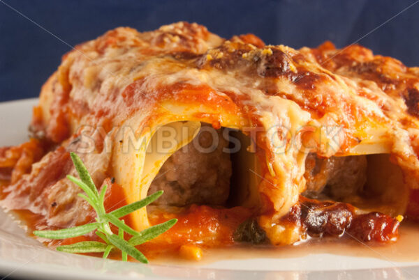 Cannelloni Frontal - Fotos-Schmiede