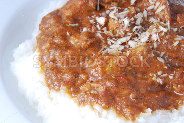 Chicken Tikka Masala mit Basmati-Reis Detail - Fotos-Schmiede