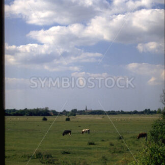 Flaches Land in Dithmarschen mit Dorfansicht - Fotos-Schmiede