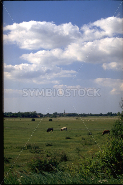 Flaches Land in Dithmarschen mit Dorfansicht - Fotos-Schmiede