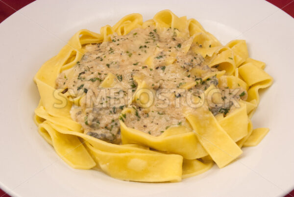 Frische Pappardelle mit Gorgonzola-Petersilie-Sauce Aufsicht - Fotos-Schmiede