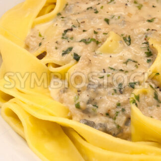 Frische Pappardelle mit Gorgonzola-Petersilie-Sauce Detail - Fotos-Schmiede