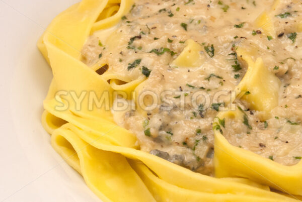 Frische Pappardelle mit Gorgonzola-Petersilie-Sauce Detail - Fotos-Schmiede