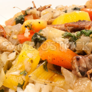 Gebratene Heuschrecken mit Gemüse auf Basmati-Reis Detail - Fotos-Schmiede
