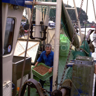 Krabbenfischer auf seinem Schiff im Hafen von Friedrichskoog - Fotos-Schmiede