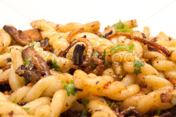 Mehlwürmer-Pilze-Pasta-Pfanne Detail - Fotos-Schmiede