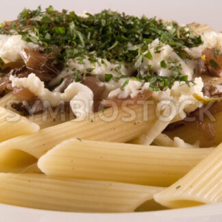 Penne Rigate mit Sauce und Mozzarella Detail - Fotos-Schmiede