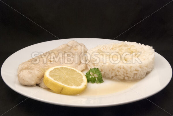 Pochiertes Pangasiusfilet mit Reis Aufsicht - Fotos-Schmiede