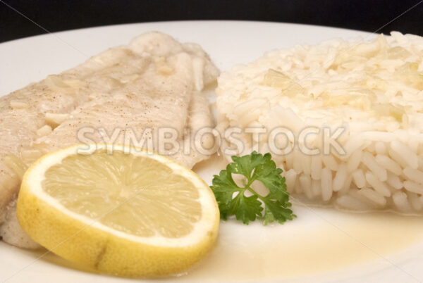 Pochiertes Pangasiusfilet mit Reis Frontal - Fotos-Schmiede