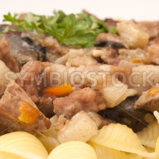 Ragout mit Obazter-Sauce und Pasta Detail - Fotos-Schmiede