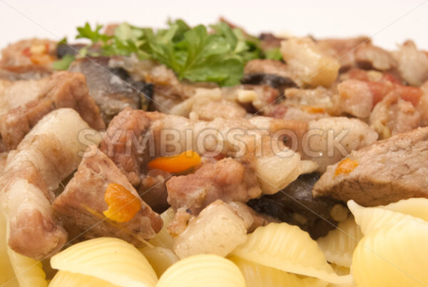 Ragout mit Obazter-Sauce und Pasta Detail - Fotos-Schmiede