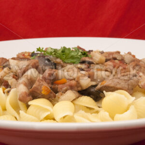Ragout mit Obazter-Sauce und Pasta Frontal - Fotos-Schmiede