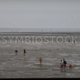 Strand bei Ebbe bei Büsum in Dithmarschen - Fotos-Schmiede