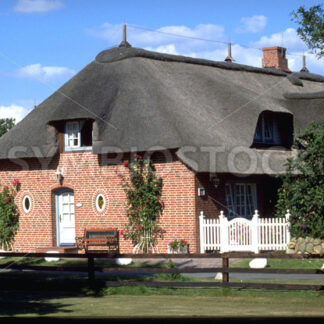 Typisches reetgedecktes, großes Haus in Dithmarschen - Fotos-Schmiede