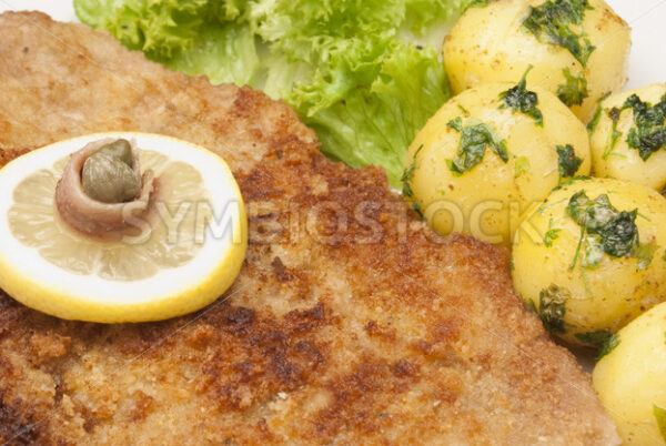 Wiener Schnitzel mit Petersilienkartoffeln und grünem Salat Detail - Fotos-Schmiede