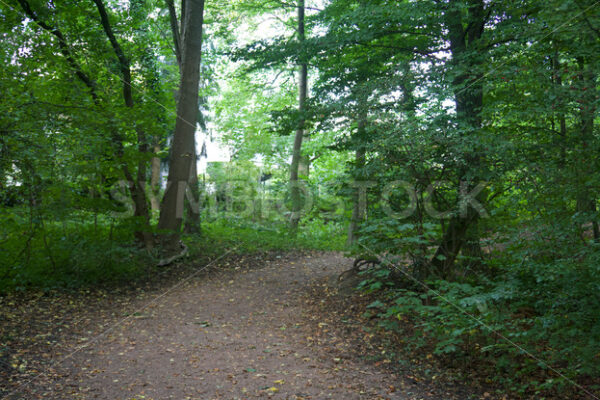 Abbiegung - Fotos-Schmiede