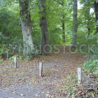 Abzweigung Nähe Kielmannseggstraße - Fotos-Schmiede