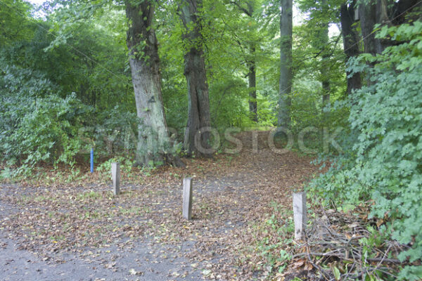 Abzweigung Nähe Kielmannseggstraße - Fotos-Schmiede