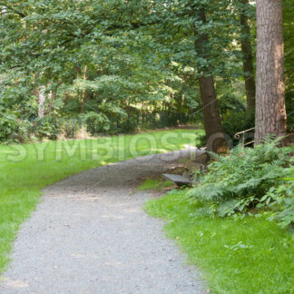 Aufstieg im Wald - Fotos-Schmiede