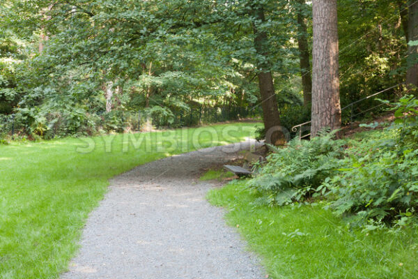 Aufstieg im Wald - Fotos-Schmiede