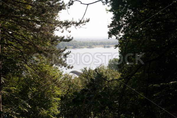 Blick auf die Elbe - Fotos-Schmiede