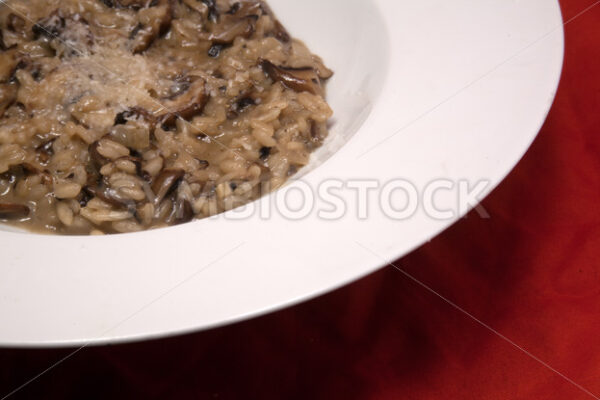 Champignon-Risotto Detail - Fotos-Schmiede