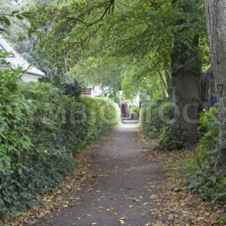 Durchgang vom Wandsbeker Gehölz zur Oktaviostraße - Fotos-Schmiede