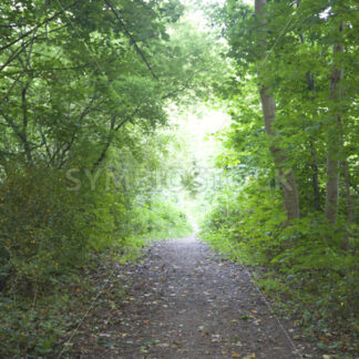 Schmaler Durchgang vom Damm zum Holstenhofweg - Fotos-Schmiede