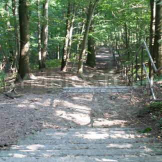 Treppe hinunter zur Elbe - Fotos-Schmiede