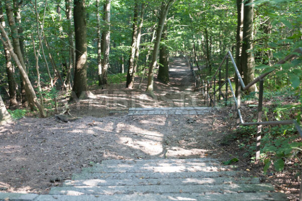 Treppe hinunter zur Elbe - Fotos-Schmiede