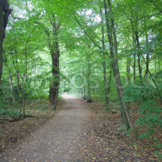 Wegverlauf - Fotos-Schmiede