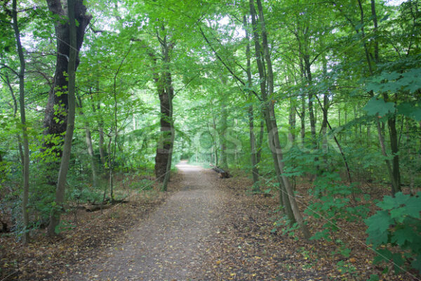 Wegverlauf - Fotos-Schmiede