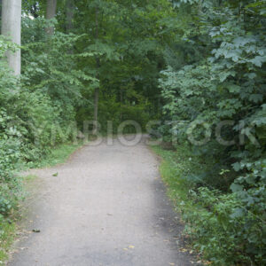 Zugang - Fotos-Schmiede