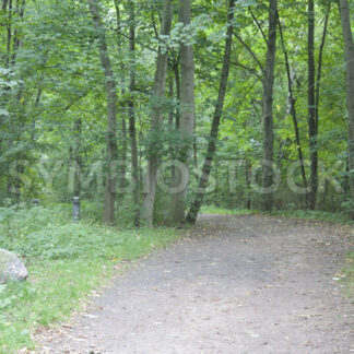 Zugang zum Wandsbeker Gehölz südlich - Fotos-Schmiede