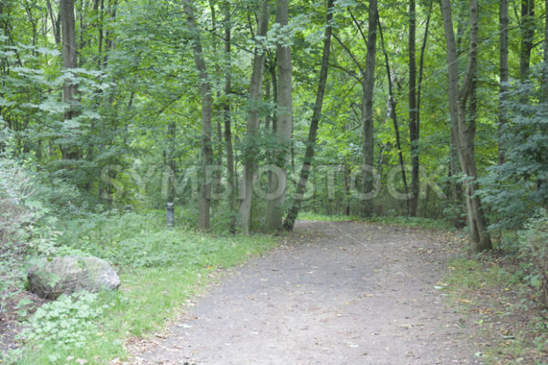 Zugang zum Wandsbeker Gehölz südlich - Fotos-Schmiede