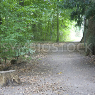 Zugang zum Wandsbeker Gehölz westlich - Fotos-Schmiede