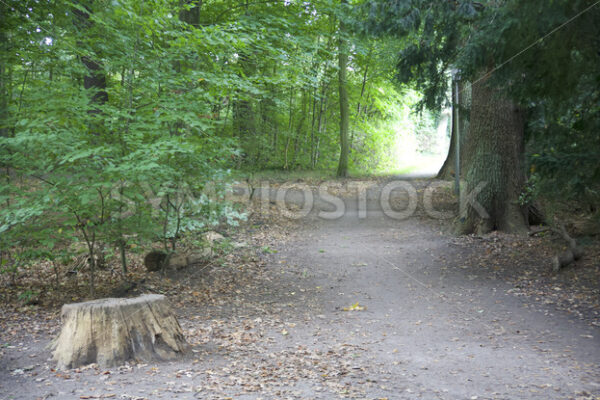 Zugang zum Wandsbeker Gehölz westlich - Fotos-Schmiede