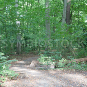 Abzweigung - Fotos-Schmiede