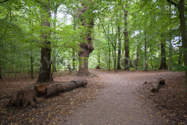 Abzweigung zur Oktaviostraße - Fotos-Schmiede