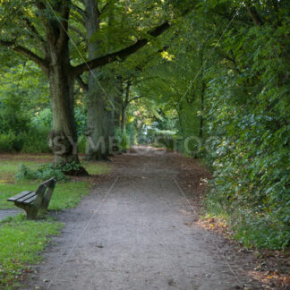 Allee mit Sitzbank Nähe Kielmannseggstraße - Fotos-Schmiede