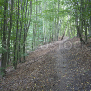 Aufstieg zum Damm - Fotos-Schmiede