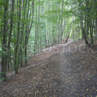 Aufstieg zum Damm - Fotos-Schmiede