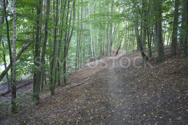 Aufstieg zum Damm - Fotos-Schmiede