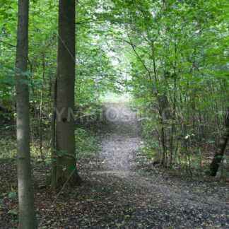 Kleine Erhebung - Fotos-Schmiede