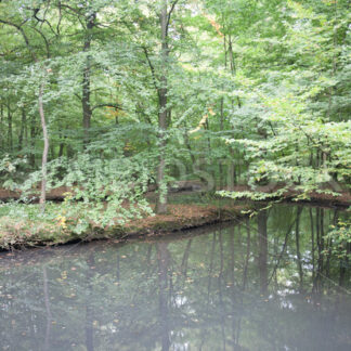 Leicht verschmutzter Teich - Fotos-Schmiede