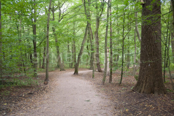 Nähe Kielmannseggstraße - Fotos-Schmiede