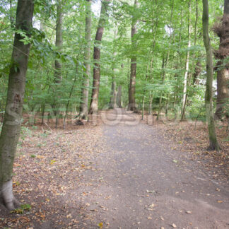 Wegverlauf westlich - Fotos-Schmiede