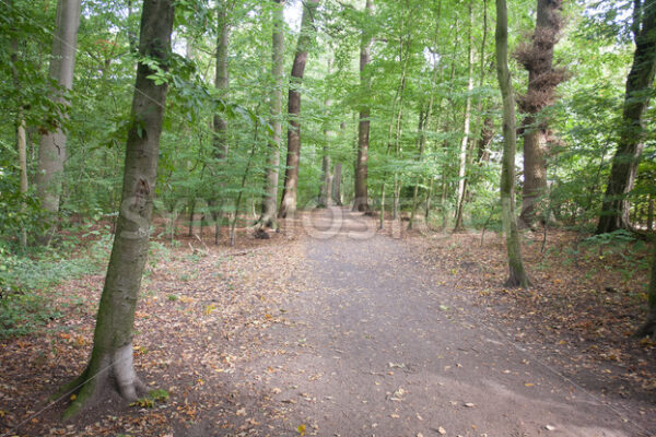 Wegverlauf westlich - Fotos-Schmiede