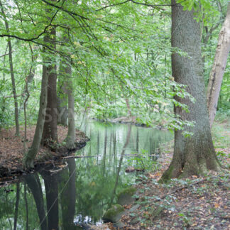 Weiterer Bachverlauf - Fotos-Schmiede